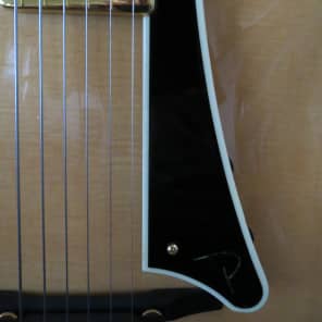 Big Opportunity-  Parker  PJ14 Hollow Body Jazz Guitar - never been owned 2009 Natural image 14