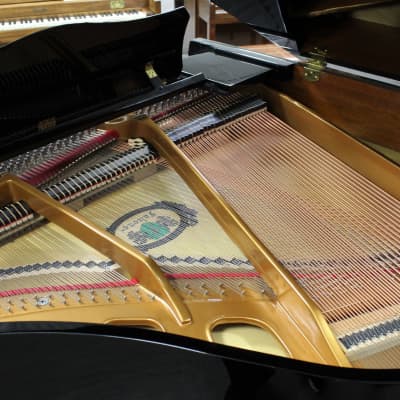 Falcone Grand Piano image 4