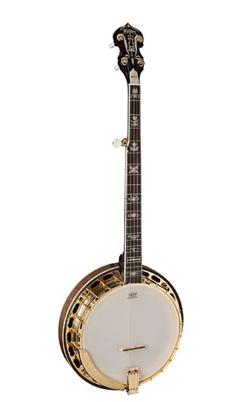 Washburn B17 Americana Series (5 String) Banjo. Tobacco Sunburst image 1
