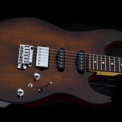 FGN Guitars J Standard Odyssey Imbuia Top on Ash body - Imbuia Brown Sunburst (IBS) image 2