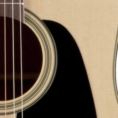 Takamine P2DC Acoustic Guitar image 3