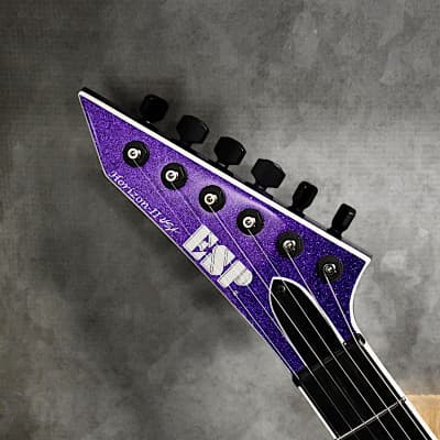 ギター ESP HORIZON DLX LEFTY GUITAR ギター ESP HORIZON DLX LEFTY