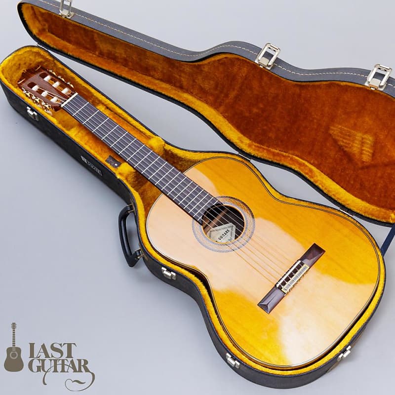 在庫あり/即出荷可】 ECOLE guitar EL300 ハードケース - 楽器・機材