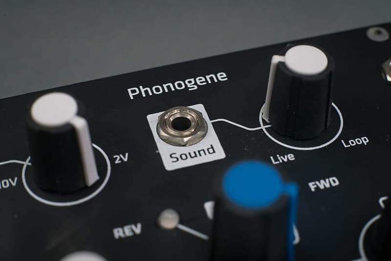 Make Noise Phonogene with Black Grayscale panel | Reverb