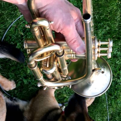 EXCELLENT SPECIAL ORDER LP CORNET F. BESSON BREVETE NEW CREATION 1923 GOLD PLATED LOVELY ENG. TO THE TOP / GREAT COMPRESSION image 25