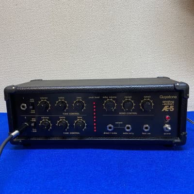 1981 Guyatone Analog echo AE-5 - awesome sounding delay