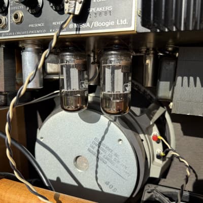 Mesa Boogie IIc 1984 - Maple image 6