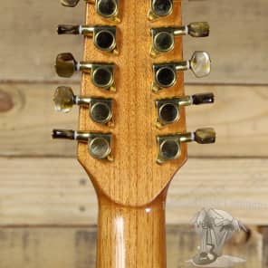 Giannini 12 String Acoustic Electric Guitar Natural Finish image 7
