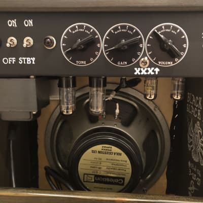 Black Volt Black Hawk Limited Edition Amplifier with Black Back Celestion image 5