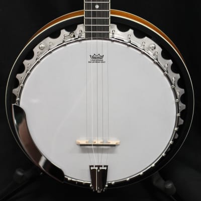 Washburn B9-WSH-A Americana 5-String Resonator Banjo image 2