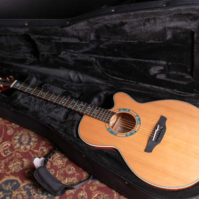 Takamine LTD2023 Santa Fe 30th Anniversary Acoustic Electric Guitar w/ CTF-2N Pickup and Case image 17