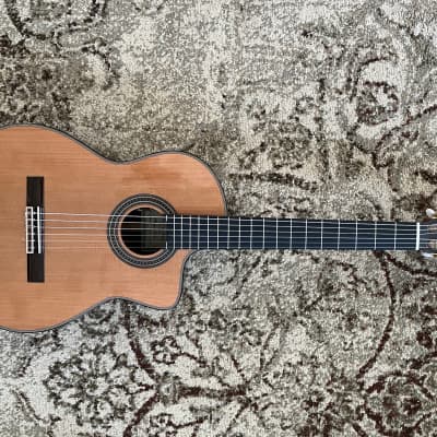 2021 Kenny Hill New World Player Crossover Classical Guitar / P650CFS / w/ Baggs Pickup image 1