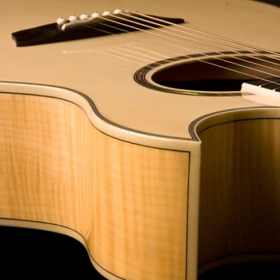 Washburn Guitars Festival Series EA20 Florentine Cutaway Acoustic/Electric Guitar image 3