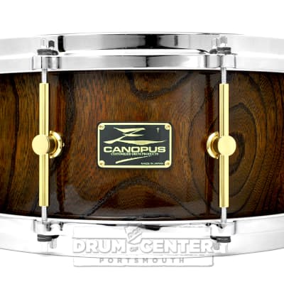 Canopus Zelkova 6.5x14” solid tree shell | Reverb