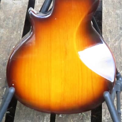 Kentucky KM300E 5-string electric mandolin image 7
