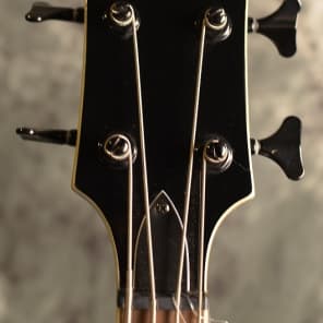 m/ ESP LTD Viper 254, Gloss Black, Set Neck, String-Thru, 4