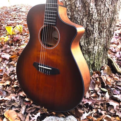 Breedlove Discovery Concert CE NY Classical Guitar 2021 - Matte image 1