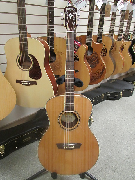 Washburn wf10s store