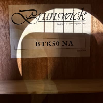 Brunswick BTK50NA Electro-Acoustic Guitar image 10