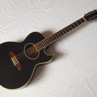 Washburn EA20MB-12 12弦ギター Washburn EA20 Mini Jumbo Acoustic-Electric Guitar | Music & Arts