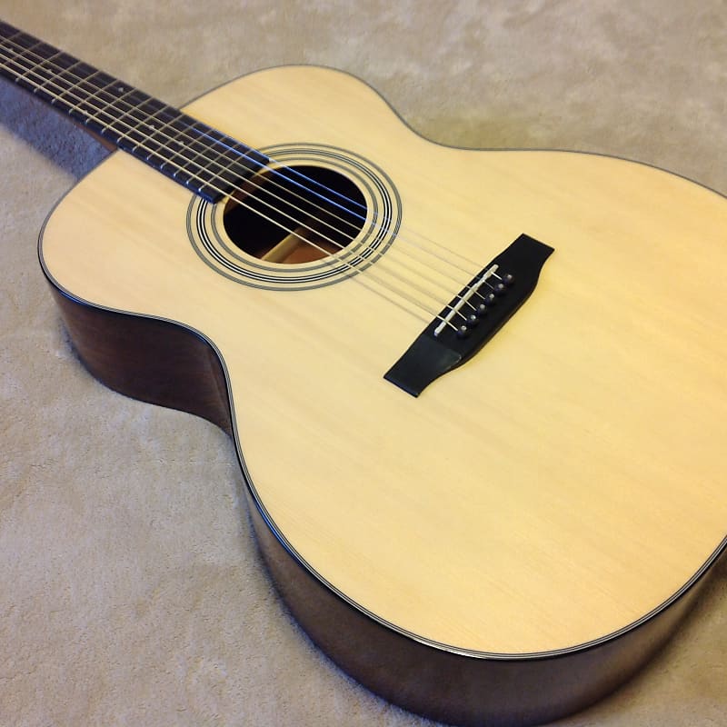 Bristol BM-16 000 Acoustic Guitar image 1
