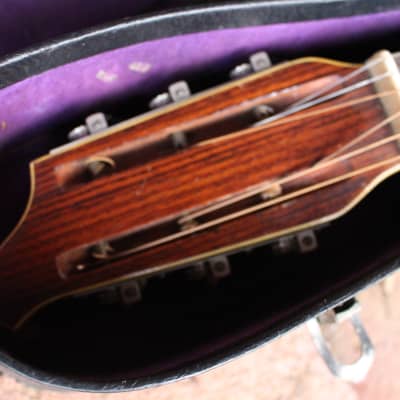 Stunning Vintage 1920s Stromberg Viosinet Parlor Acoustic Slide Guitar USA Rare Kay Bruno Harmony image 22