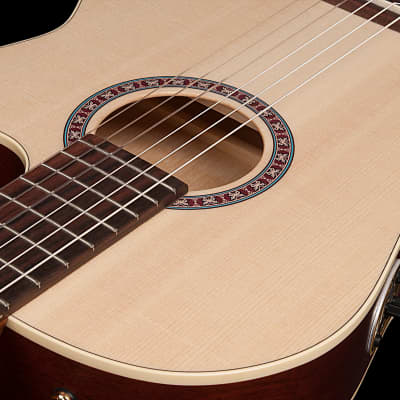 Godin 049585 / 051793 Arena CW QIT Thinline Nylon String Classical Guitar MADE In CANADA image 5