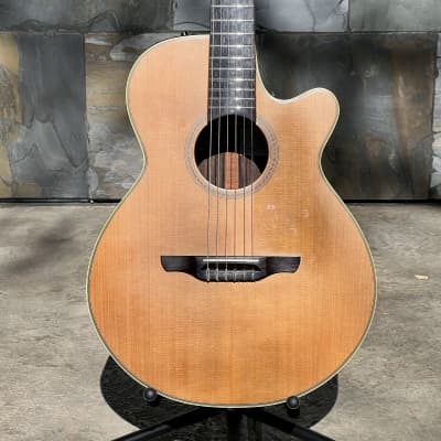 Used Takamine NPT-110(n) Nylon Acoustic Guitar with Hardcase image 2