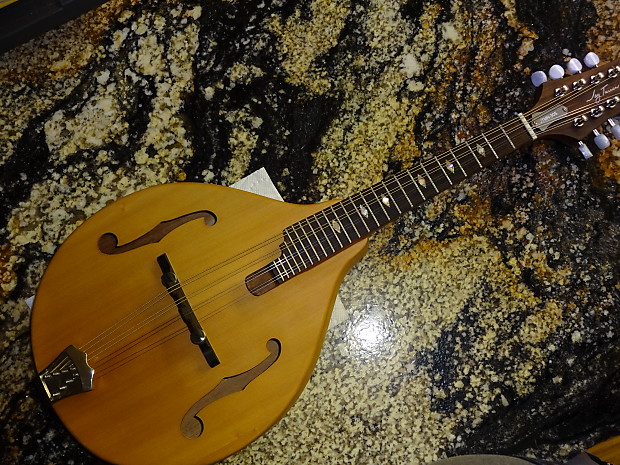 Jay turser mandolin top