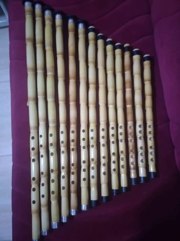 Ney Professionnel Flûte Murat Kapabilik 2022 Reverb