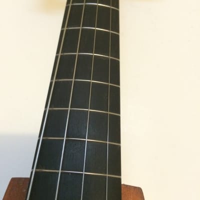 Violin.  Hand made electric with frets. image 3