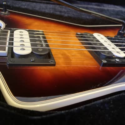 2019 Dean Dimebag Darryl ML 79~Set Neck~Floyd Rose~Trans Brazilia~Electric Guitar image 4