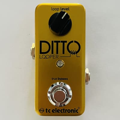 TC Electronic Ditto Looper Limited Edition | Reverb