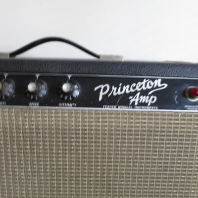 Fender Princeton BF 1966 for sale