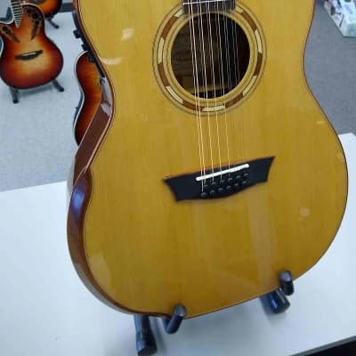Washburn G15SCE-12 String Comfort Series Acoustic Electric Guitar image 2