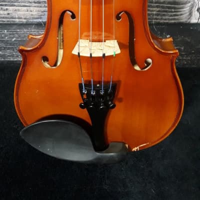 Carlo Robelli P10534 Violin with Case and Bow (King of Prussia, PA) image 3