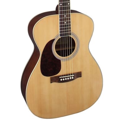 Brunswick BFL200 Left Handed Acoustic Guitar - Natural for sale