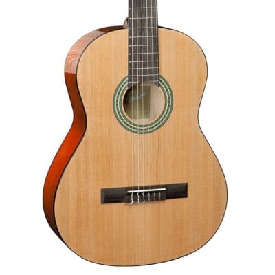 Jose Ferrer 4/4 Size Classical Guitar Inc. Gigbag image 1