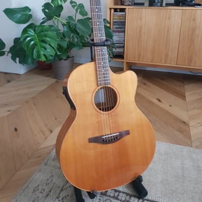 Avalon AS100CE Electro Acoustic Guitar for sale