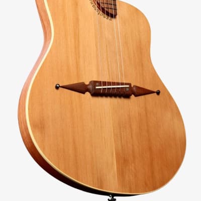 Rick Turner Classic Series Renaissance RS6 Cedar / Mahogany #5935 image 3