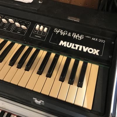 Multivox MX-202 String & Brass Synth - Japanese Copy of Roland RS-202 image 4