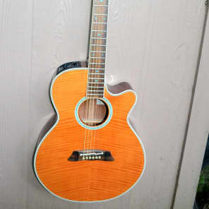 Takamine PT-108 Antique Natural | Reverb