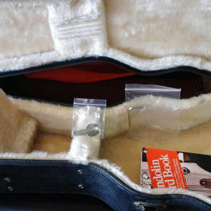 Vintage (70's) Alvarez A-800 Mandolin All Solid F-style Tobacco Burst with hard case image 3