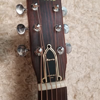 Morris F-15 in 1973 | Reverb Morris F-15 in 1973 | Reverb