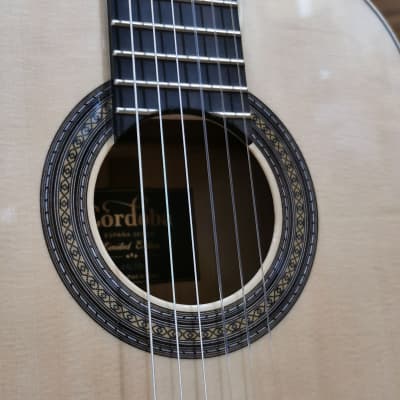Cordoba 45 Limited Spanish Classical Guitar Spruce/Ebony image 8