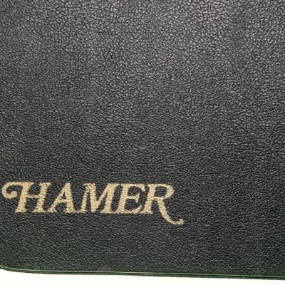 Hamer Explorer Natural image 10