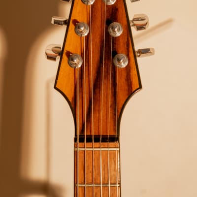 Rick Turner Rick Turner Model 1-C-LB Owned and Used by Lindsey Buckingham with Art Work Burgundy image 3