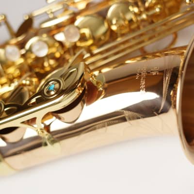 [In Stock]_Freeshipping! Yanagisawa Alto saxophone A WO-2 [AWO2]Bronze Brass Body image 11