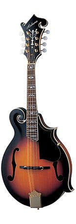 Alabama ALM45 Archtop Mandolin, F-Style | Reverb