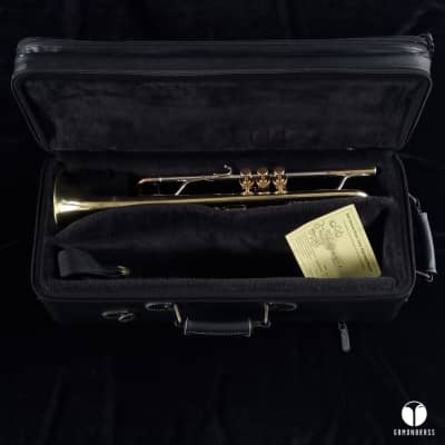 D. Calicchio 1s7 ML Sterling Silver leadpipe trumpet case gamonbrass image 16